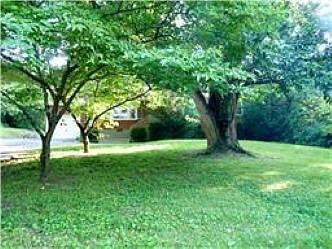 Front yard