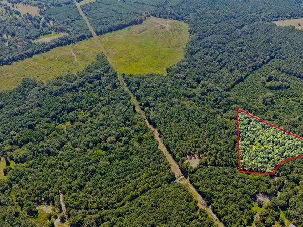 LOT 1 County Road 1240, Pittsburg, TX 75686