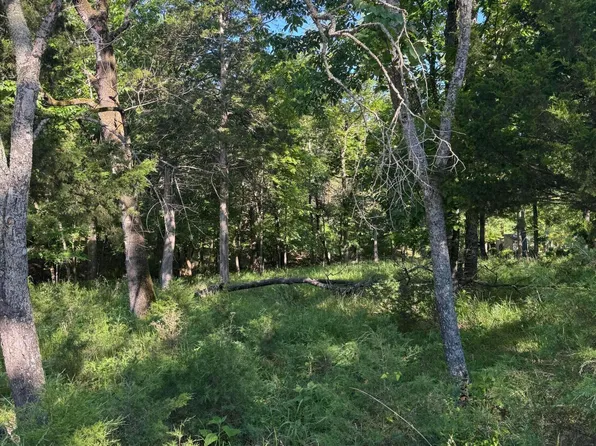 Lot 85 Cliff Drive, Golden, MO 65658