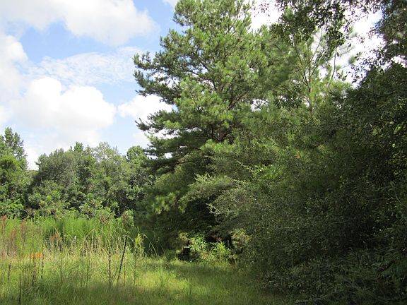 5th image of 56 Dixie Oaks
