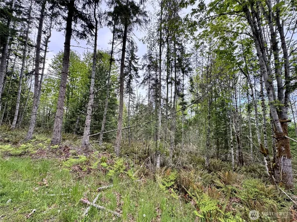 9999 Township Line Road, Port Angeles, WA 98362