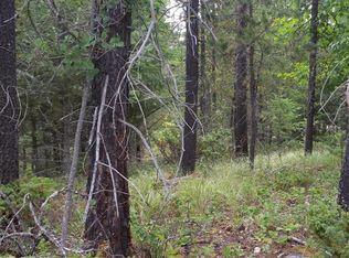 Nhn State Park Rd, Whitefish, MT 59937