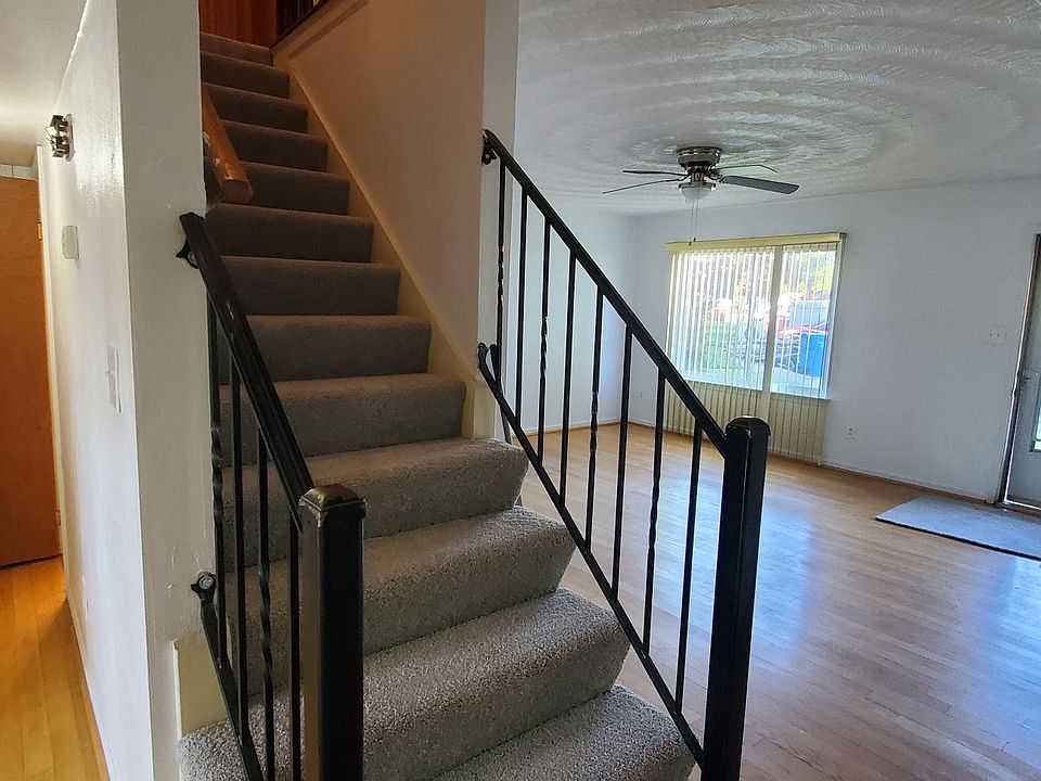 Living room / downstairs hallway