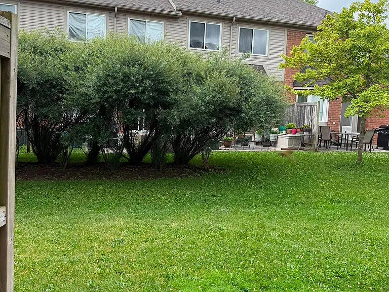 5255 Palmetto Pl #153 — Photo 10