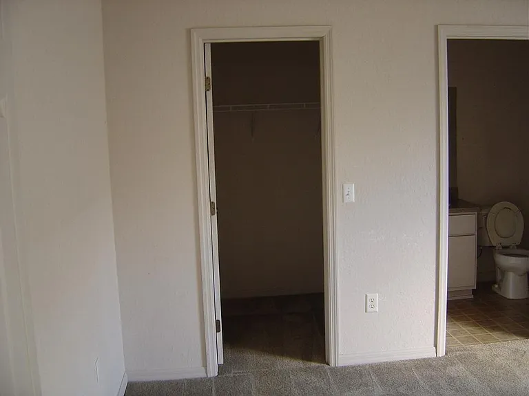 Master bath and walk in closet