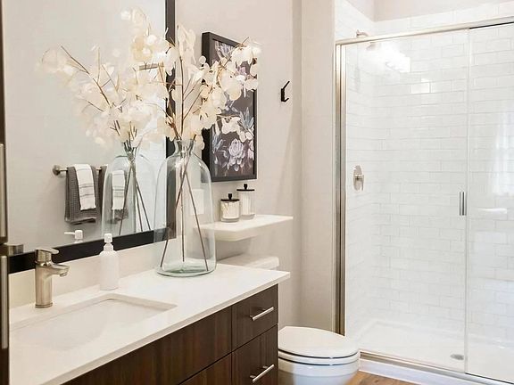 Upgraded Bathroom Featuring Walk-In Shower and Sleek Countertop Design