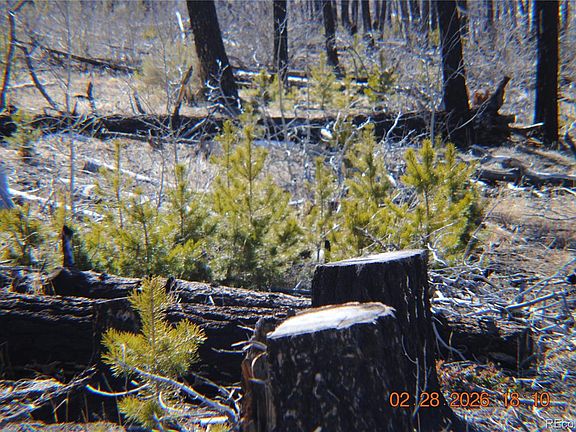 3rd image of 1043 saul Place