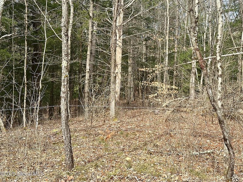 4th image of L9 County Route 9