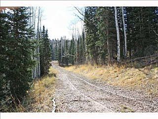 1st image of 48 White Pine Canyon Rd