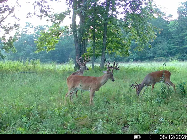 1047 Nelson Harrison Rd, Evensville, TN 37332