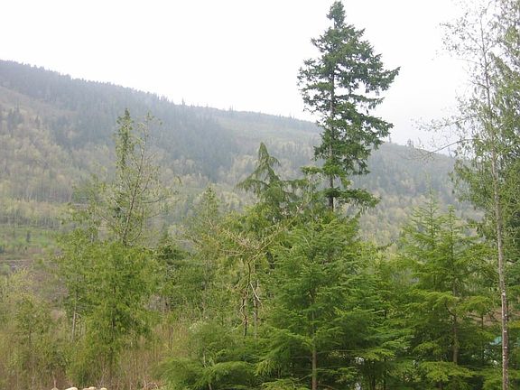 View off back patio