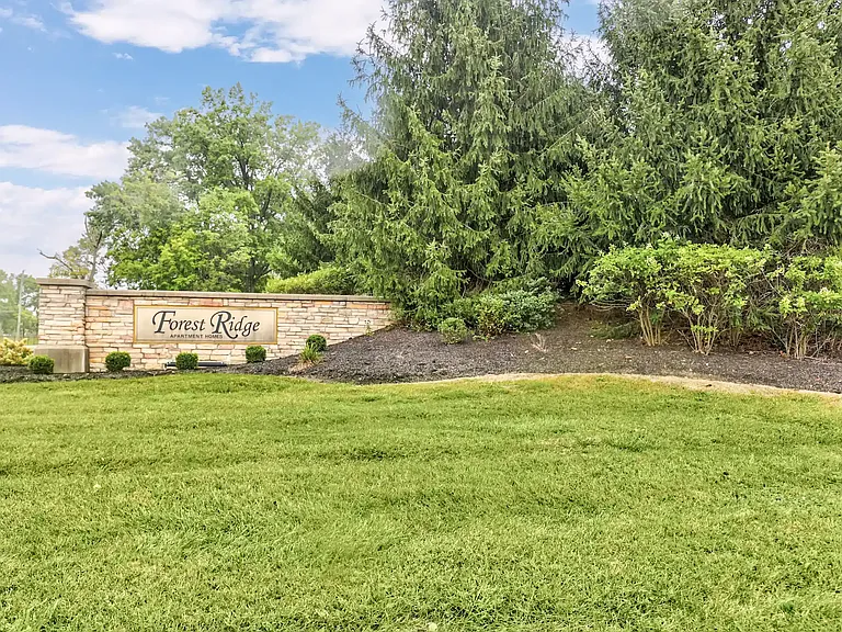 Forest Ridge — Photo 19