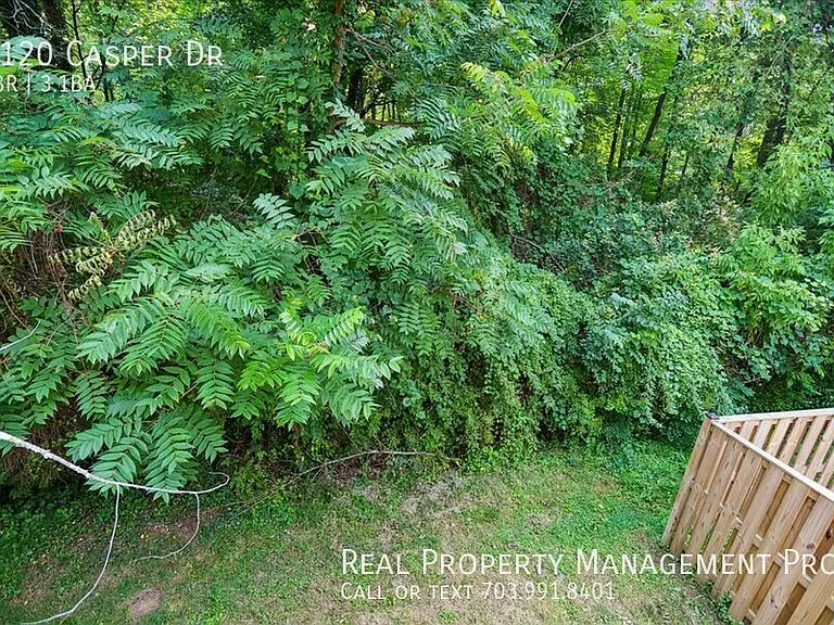 1120 Casper Dr — Photo 12