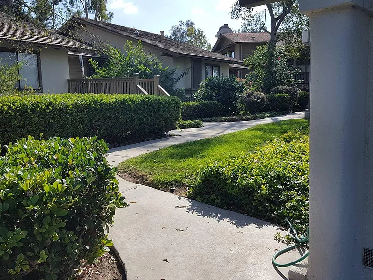56 Arboles — Photo 26