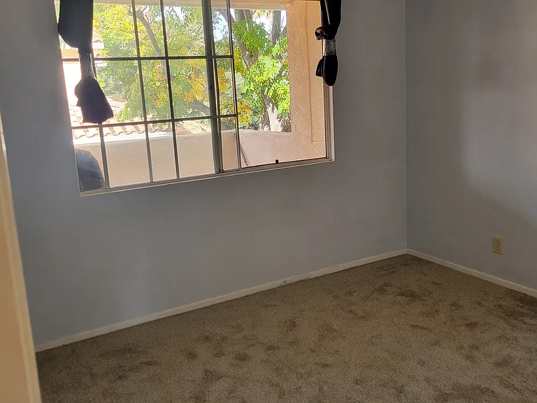2nd bedroom with walk-in closet