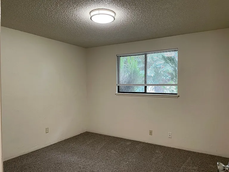2315 Temple Dr — Photo 17