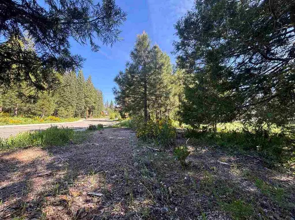 LOT 48 Old Mill Rd, McCloud, CA 96057