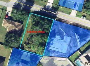 5 Buffalo Plains Ln, Palm Coast, FL 32137