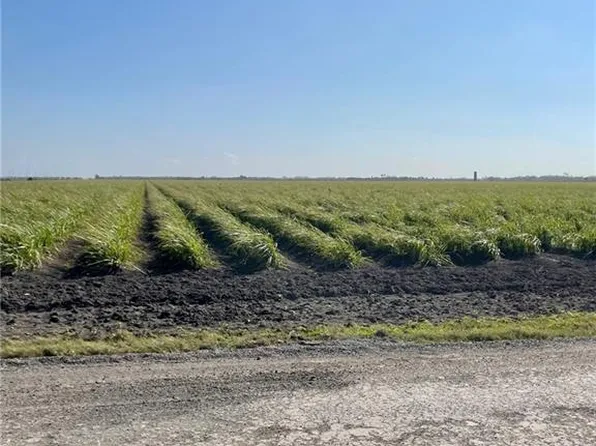 S Gonzalez Rd, Weslaco, TX 78596