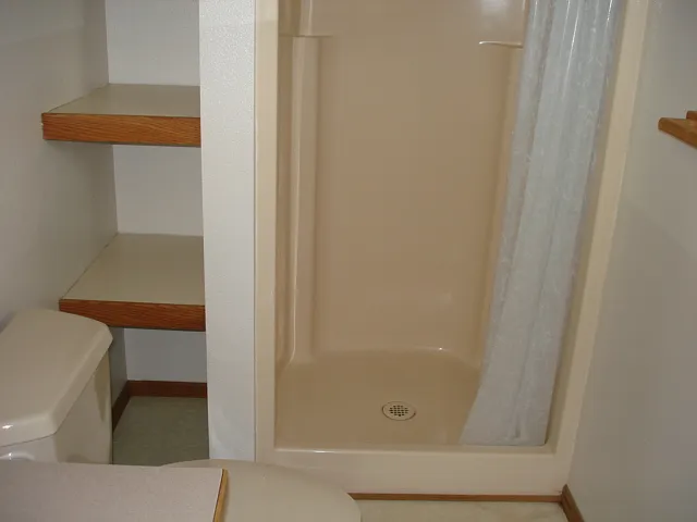 Linen Storage Shelves and Shower