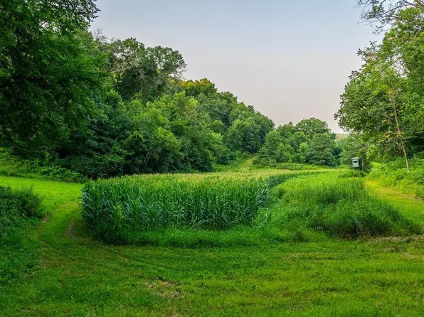 County Rd S, Blair, WI 54616