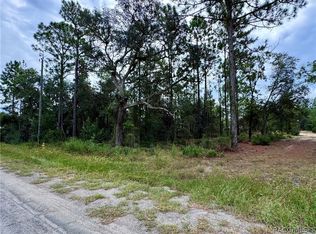2854 W Andromedae Dr, Citrus Springs, FL 34433