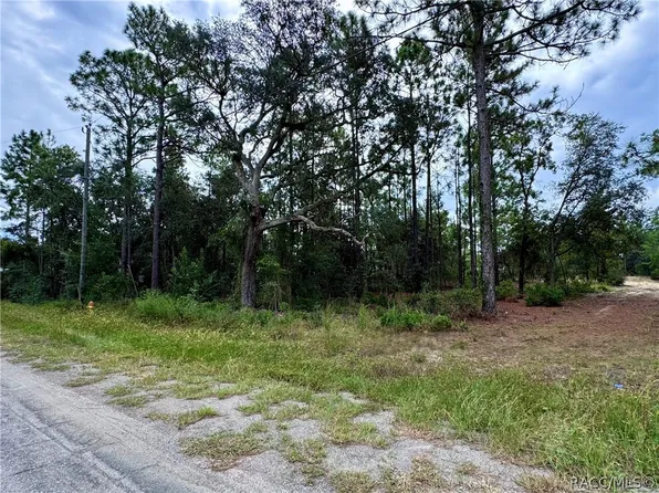 2854 W Andromedae Dr, Citrus Springs, FL 34433