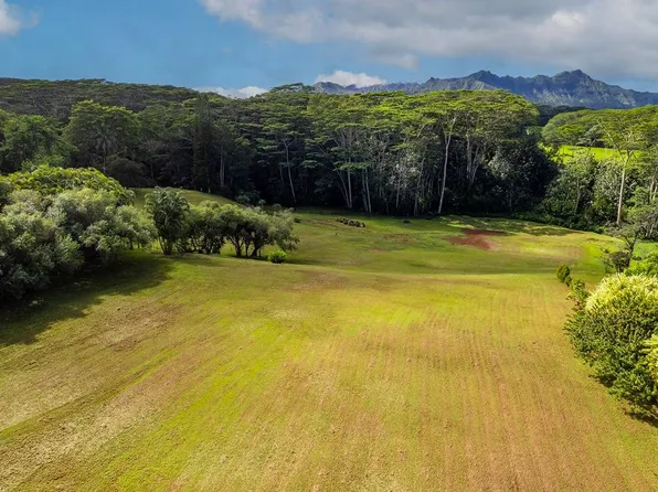 Wailapa Rd, Kilauea, HI 96754