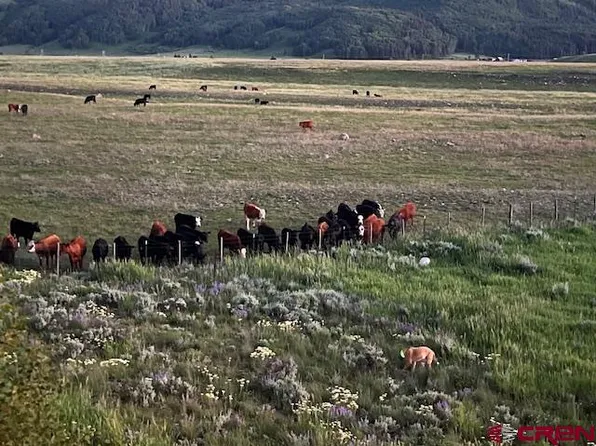 88 Bridle Spur Way, Crested Butte, CO 81224