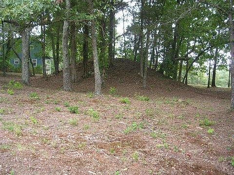 2nd image of Pin Oak Dr