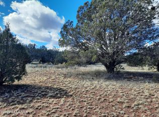 54823 N Via De Oro Pkwy, Seligman, AZ 86337