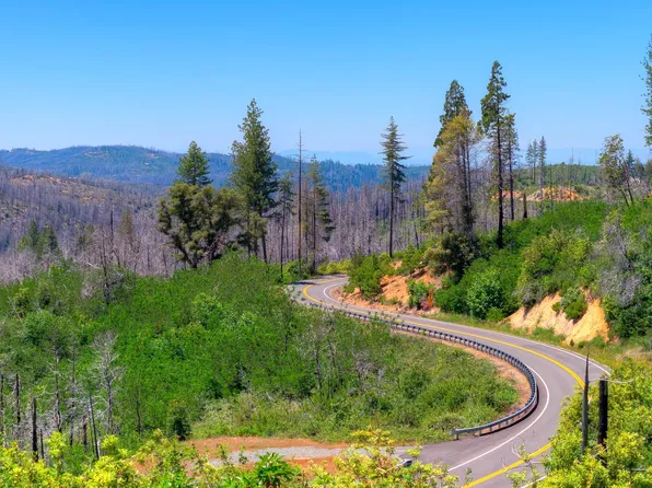 Oro Quincy Hwy, Berry Creek, CA 95916