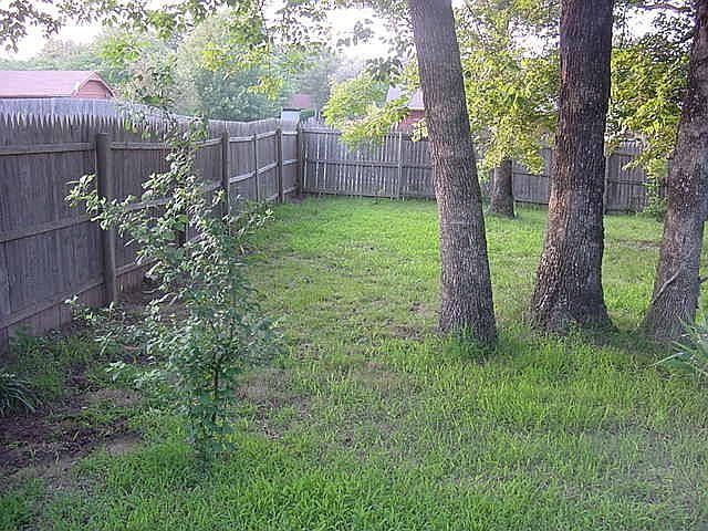 Many, many large mature trees