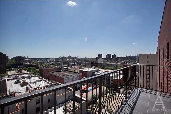 Rented by Peter Ashe | media 5