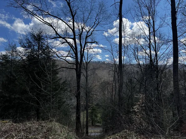 Wilderness Hwy, Nallen, WV 26680