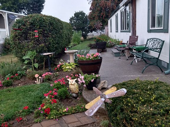 This is the front of my house it is beautifully landscaped lots all Flowers Garden