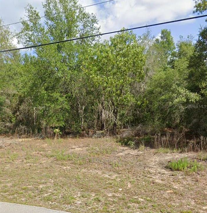 787 E Savoy St Lecanto FL Zillow