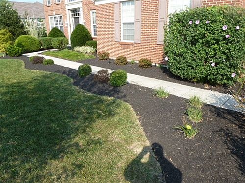 Extensive Prof.
        Landscape