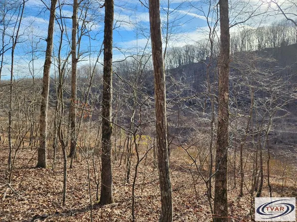 LOT 5 Golf Course Ln, Holladay, TN 38341