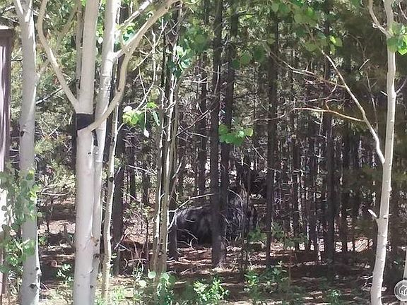 4th image of 497 Mescalero Dr