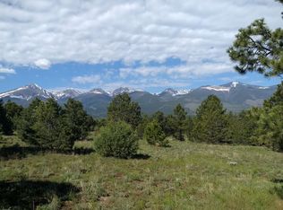 481 Oak Dr, Westcliffe, CO 81252