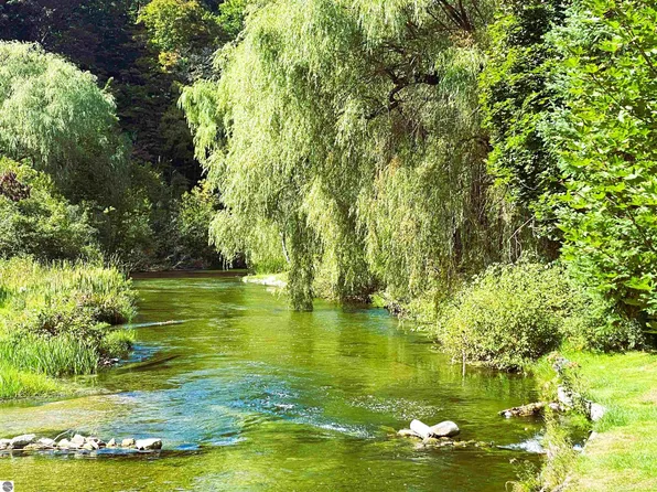 10600 Covey Rd, Honor, MI 49640