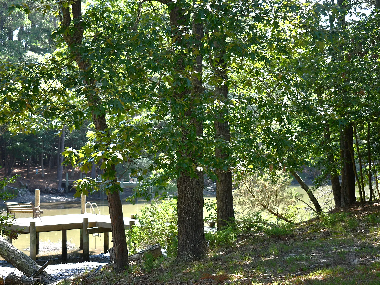 3 bed, 1196 sqft, $2,395 — Photo 3