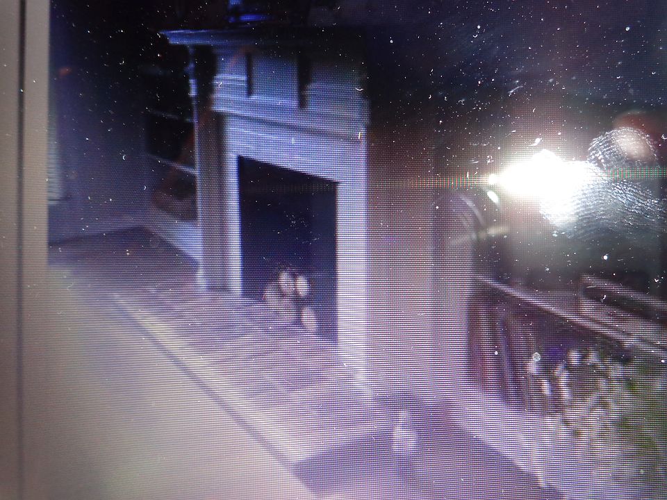 1st image of 18 N Taylor Ave APT 2N