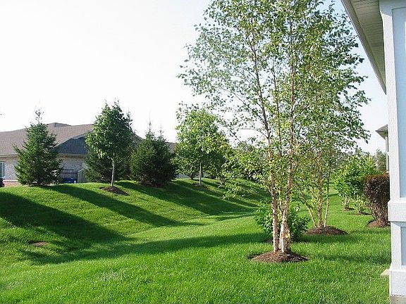 Yard