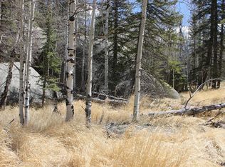 329 Spring Valley Ln, Florissant, CO 80816