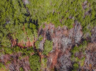 0 Tesnatee Gap Valley Rd, Cleveland, GA 30528