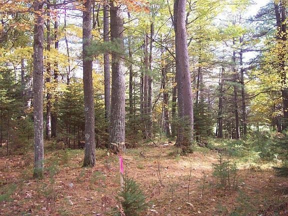 2nd image of Woodland Cir Lot 29