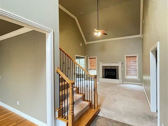 3rd image of 4555 Wedge Dr