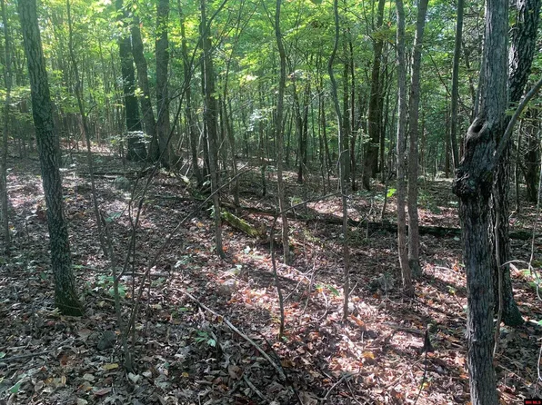 2600 Lighthouse Ln, Yellville, AR 72687